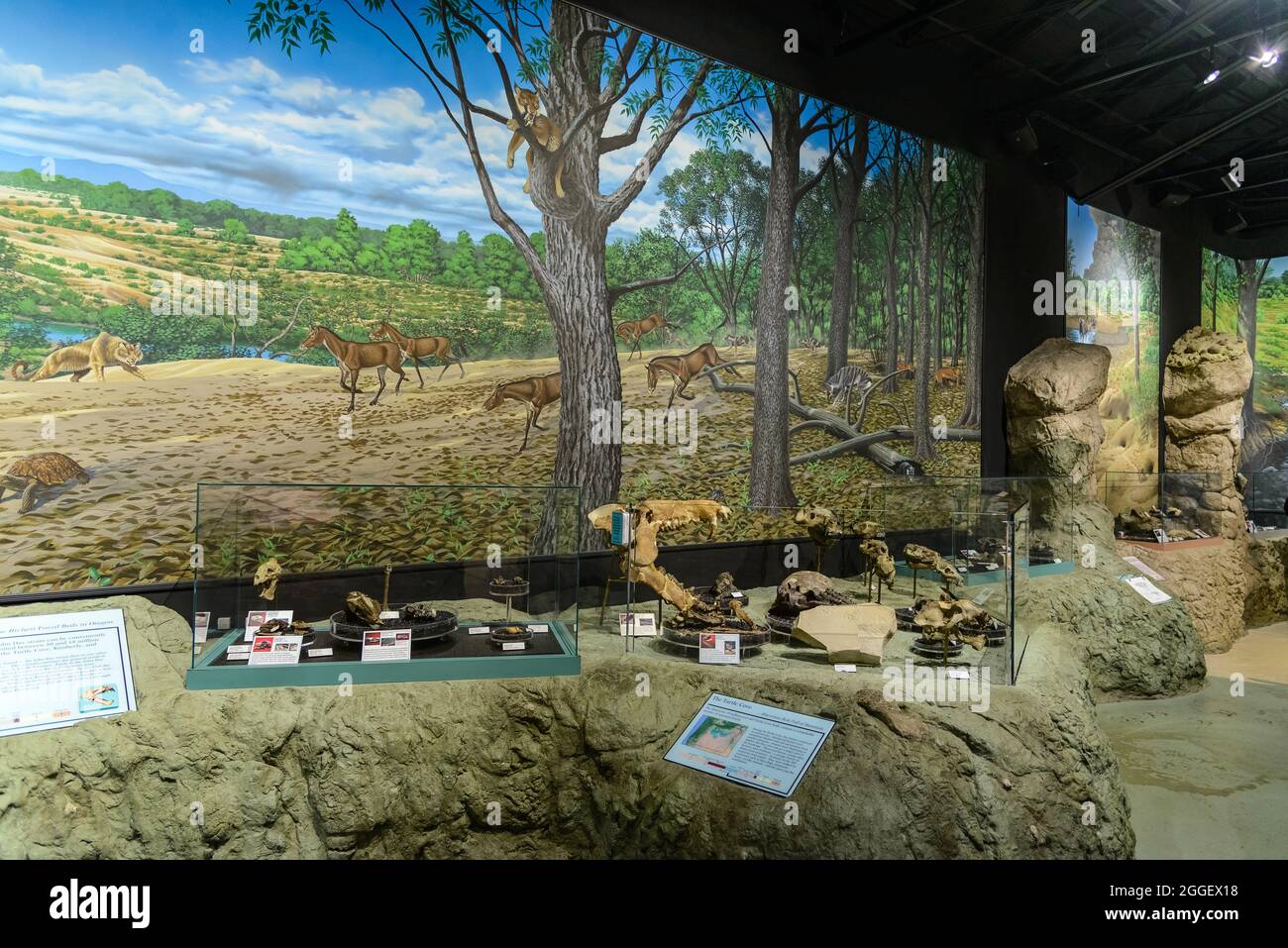 Mostra al John Day Fossil Beds National Monument. Kimberly, Oregon, Stati Uniti. Foto Stock