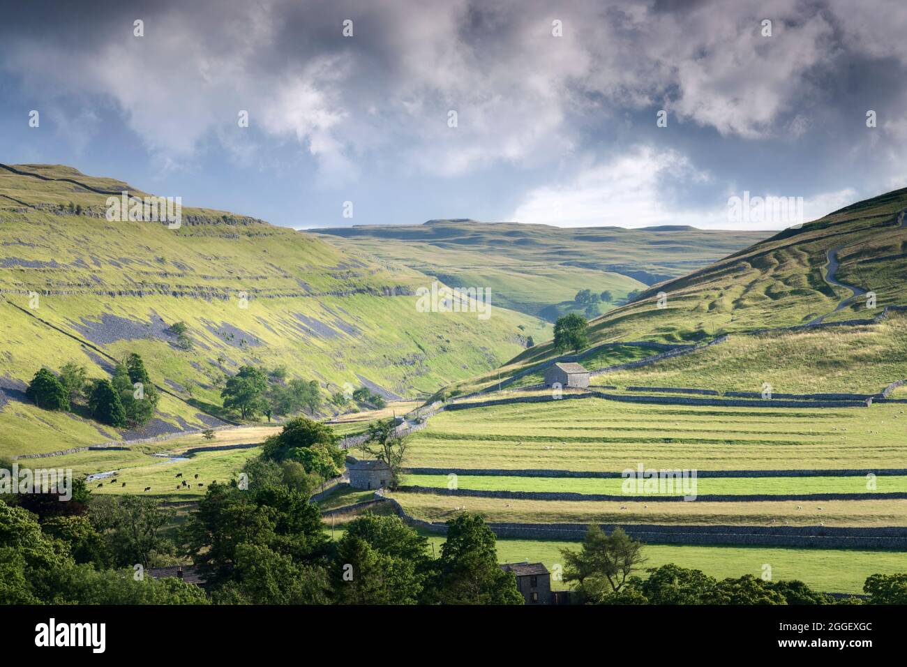 Villaggio di Arncliffe e campi e campane circostanti a metà estate, North Yorkshire, Regno Unito. Foto Stock
