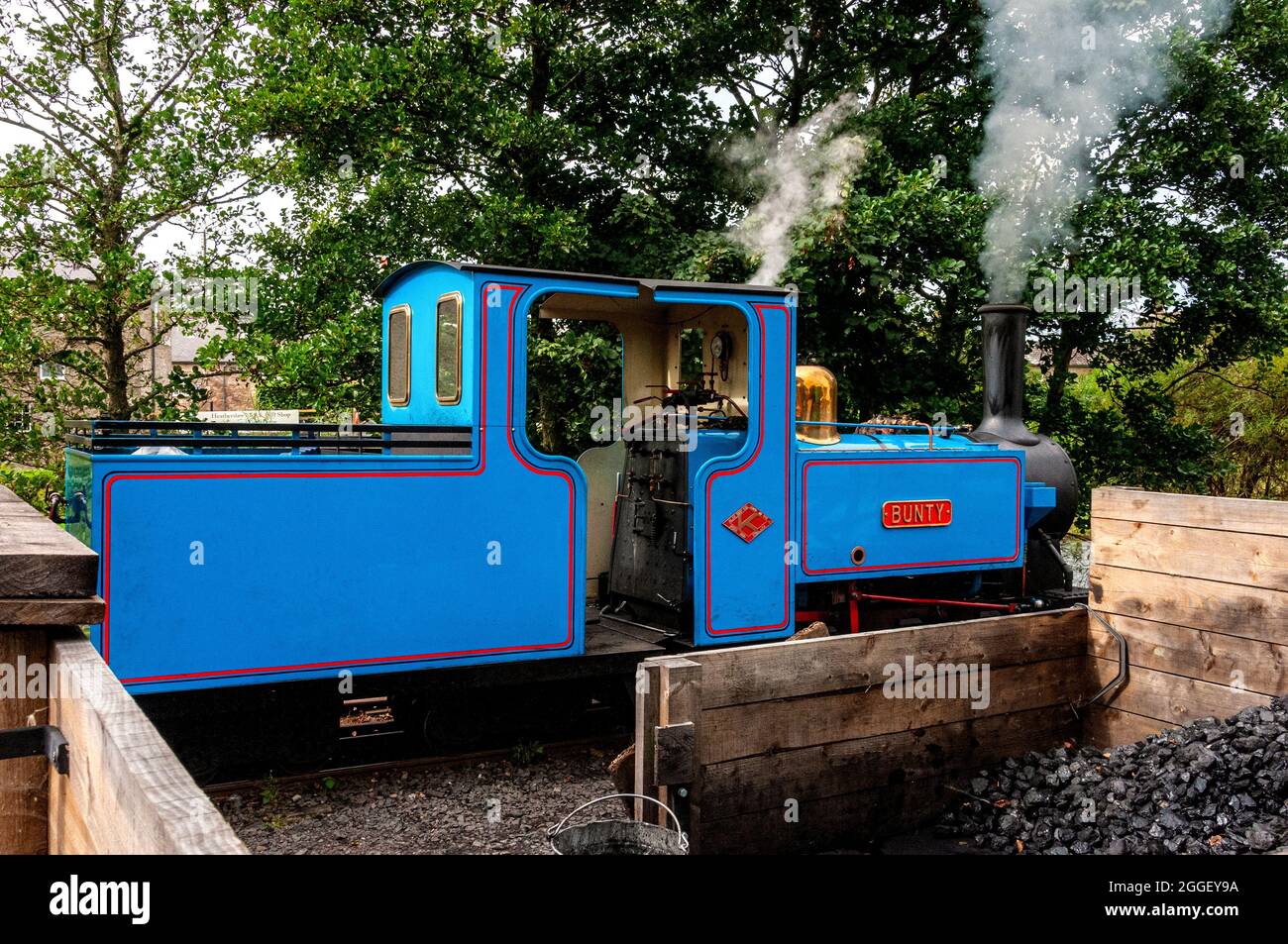 Il bunty della locomotiva a vapore con liveried blu della ferrovia leggera da 15 pollici attende tra un viaggio e l'altro presso un bunker di rifornimento di carbone nella stazione di Heatherslaw Foto Stock