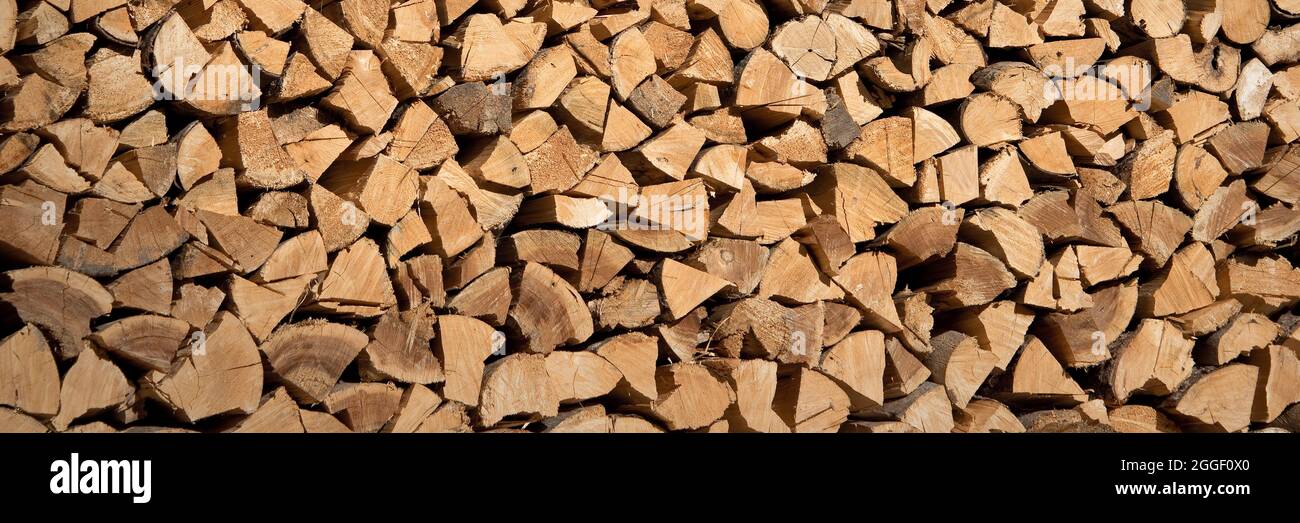Pila di tronchi di legno, legno astratto sfondo panoramico Foto Stock
