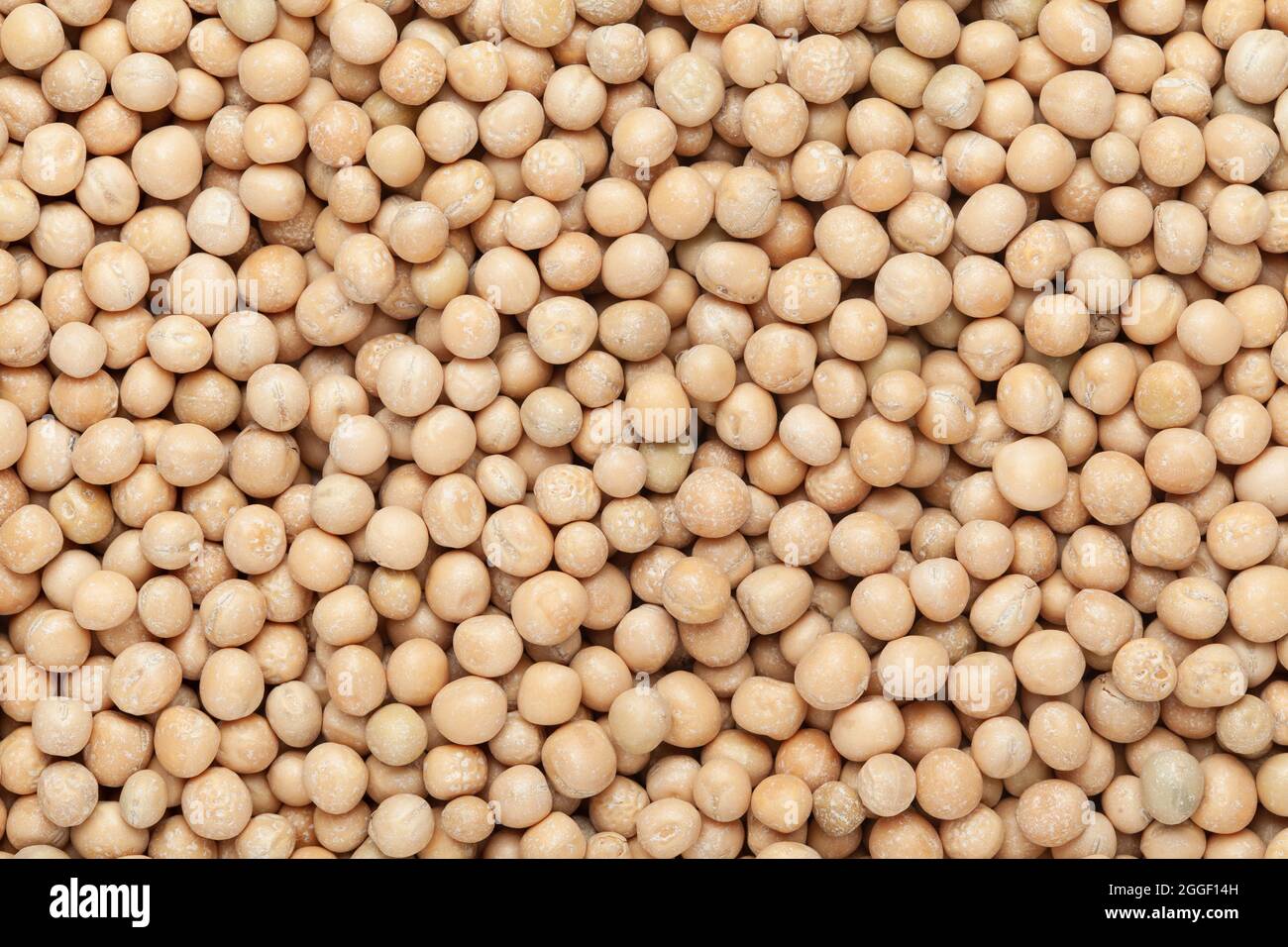 Primo piano di piselli secchi organici interi (Pisum sativum) o matar dal Full-frame background. Vista dall'alto Foto Stock