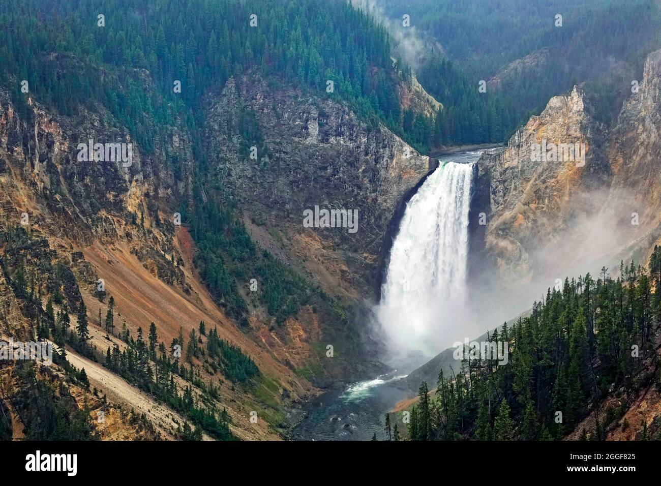 Una vista delle Lower Yellowstone Falls nel Grand Canyon del fiume Yellowstone nel parco nazionale di Yellowstone, Wyoming. A 308 metri circa, le cascate inferiori sono le più alte del parco. Solo in termini di altezza, è più del doppio delle dimensioni delle Cascate del Niagara. Foto Stock