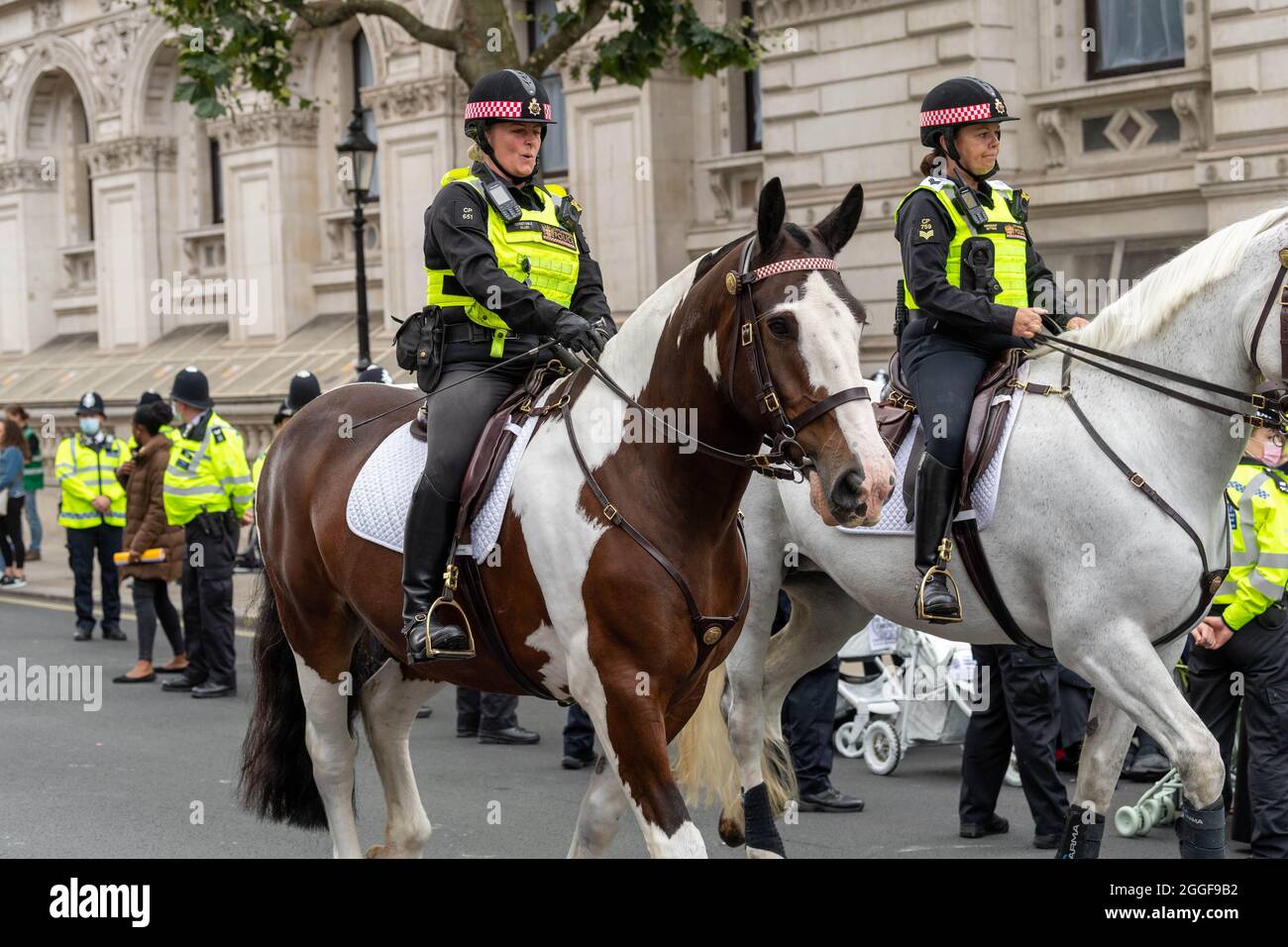 Londra, Regno Unito. 31 ago 2021. XR manifestanti fase a Sit Down protesta fuori Downing Street, Londra, UK City of London cavalli di polizia sono stati portati a reinfosire il pubblico ordine polizia, Credit: Ian Davidson / Alamy Live News Foto Stock