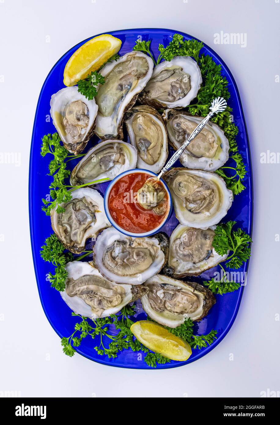 Dozzina di ostriche servite sul semiguscio su un piatto ovale di vetro blu con salsa cocktail rossa, spicchi di limone giallo e prezzemolo verde guarnito. Foto Stock