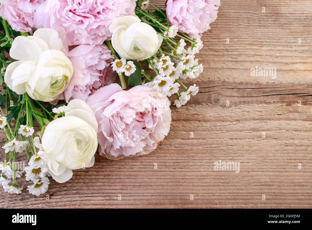 Peonie rosa, fiore bianco ranunculus e matricaria tanacetum su sfondo di legno, spazio copia. Foto Stock