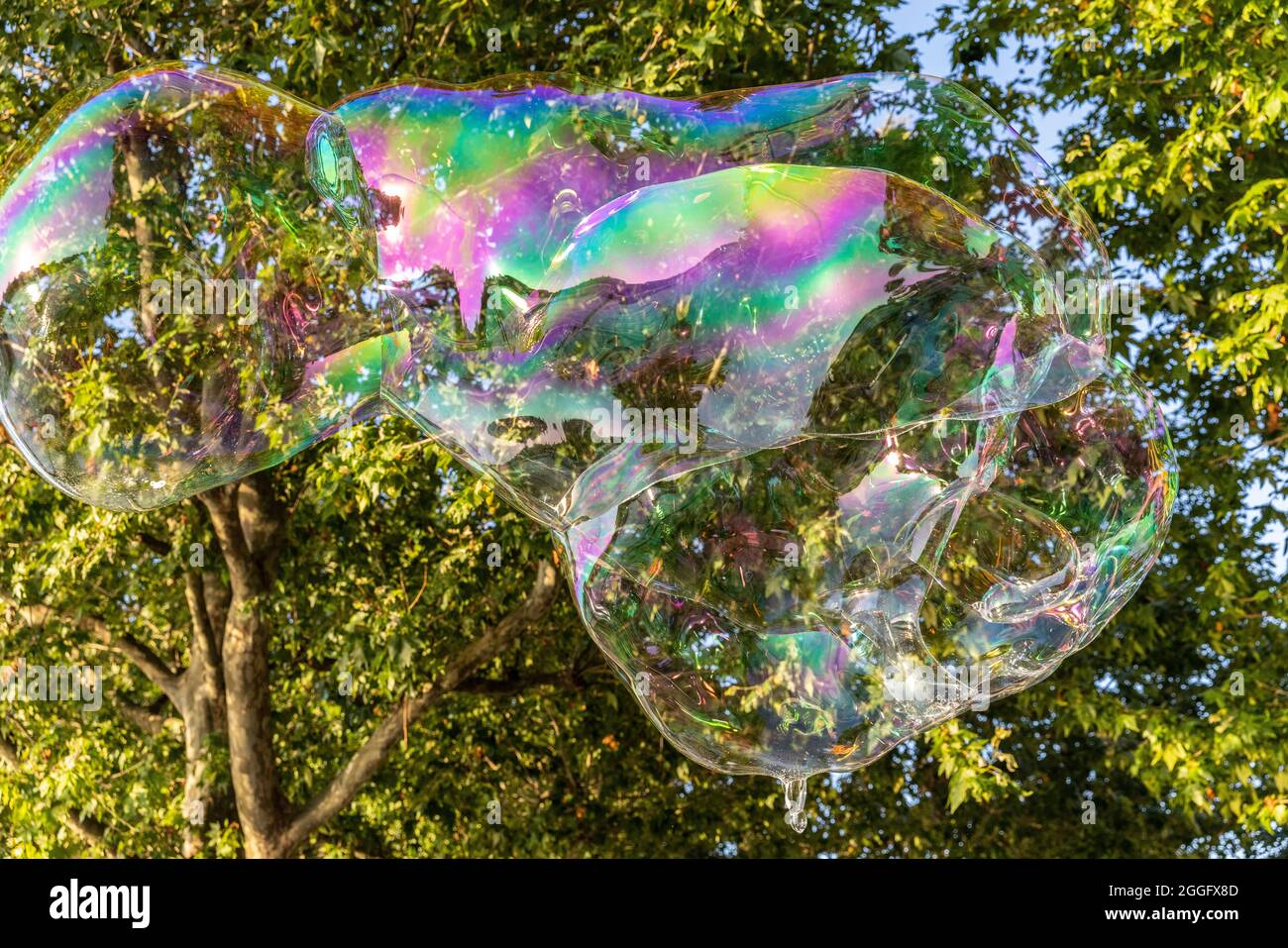 Le famiglie possono divertirsi lungo la Southbank di Londra mentre un artista soffia grandi bolle sul marciapiede, Inghilterra, Regno Unito. Foto Stock