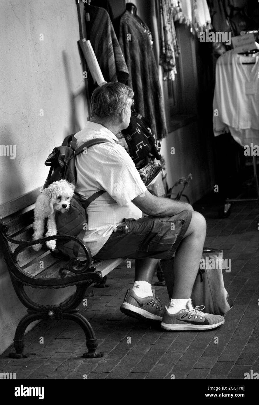 Un uomo si siede fuori di un negozio con il suo cane, mentre sua moglie si occupa di un negozio di abbigliamento a Santa Fe, New Mexico. Foto Stock