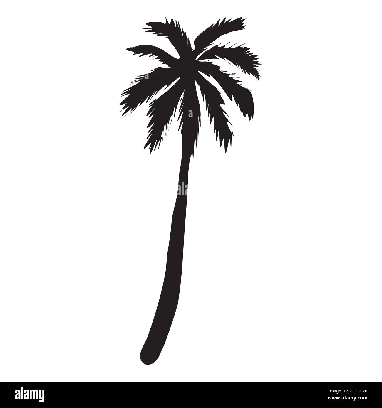 silhouette di palme da cocco, illustrazione di palme, segno vettoriale estivo su sfondo bianco Illustrazione Vettoriale