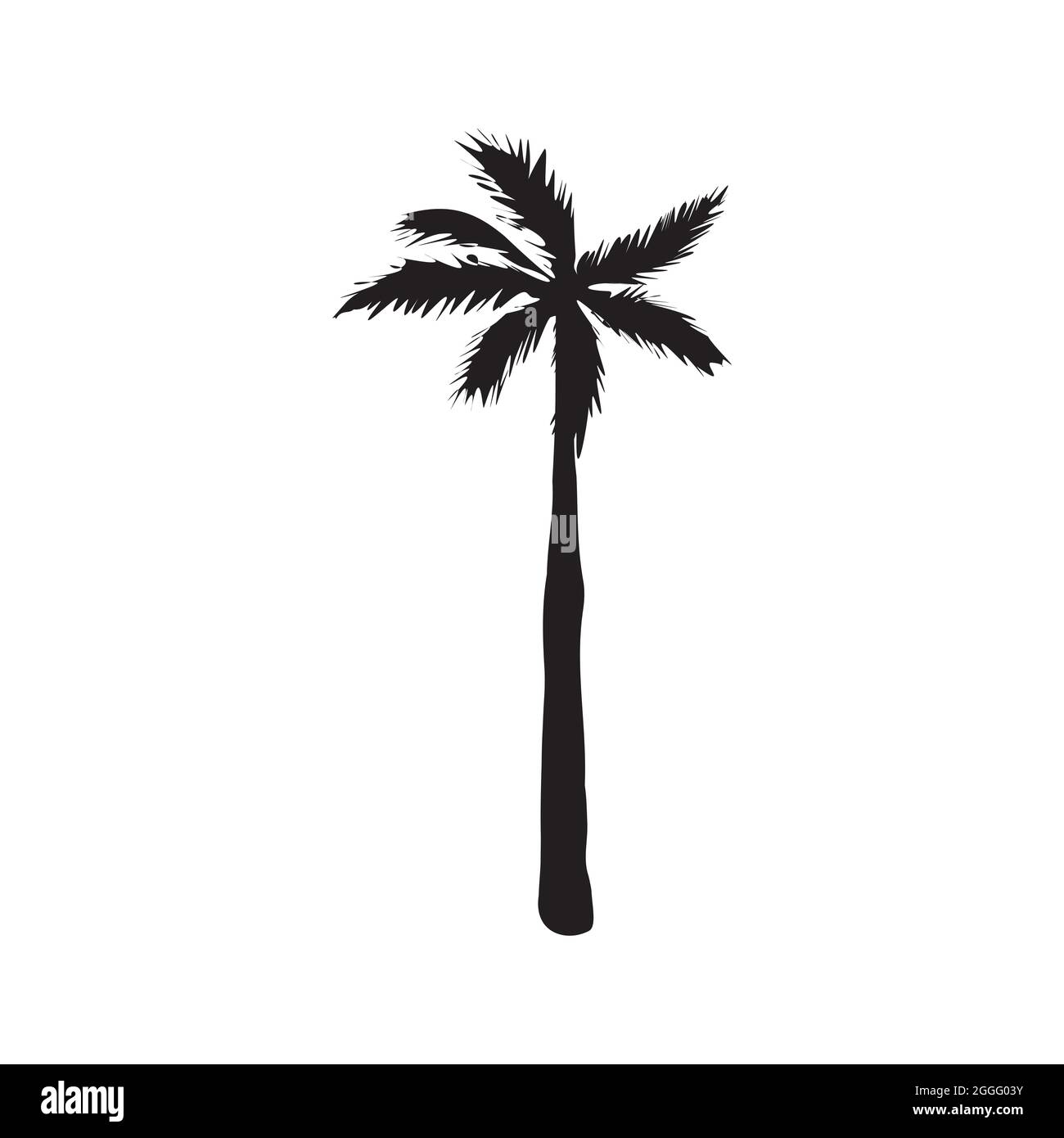silhouette di palme da cocco, illustrazione di palme, segno vettoriale estivo su sfondo bianco Illustrazione Vettoriale