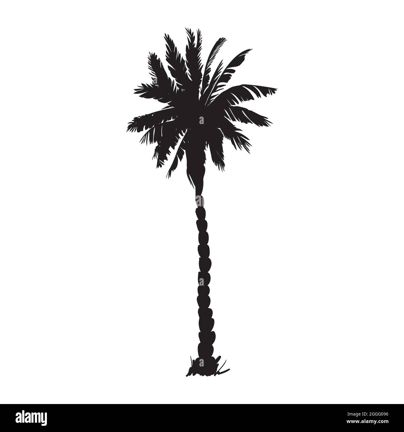 silhouette di palme da cocco, illustrazione di palme, segno vettoriale estivo su sfondo bianco Illustrazione Vettoriale