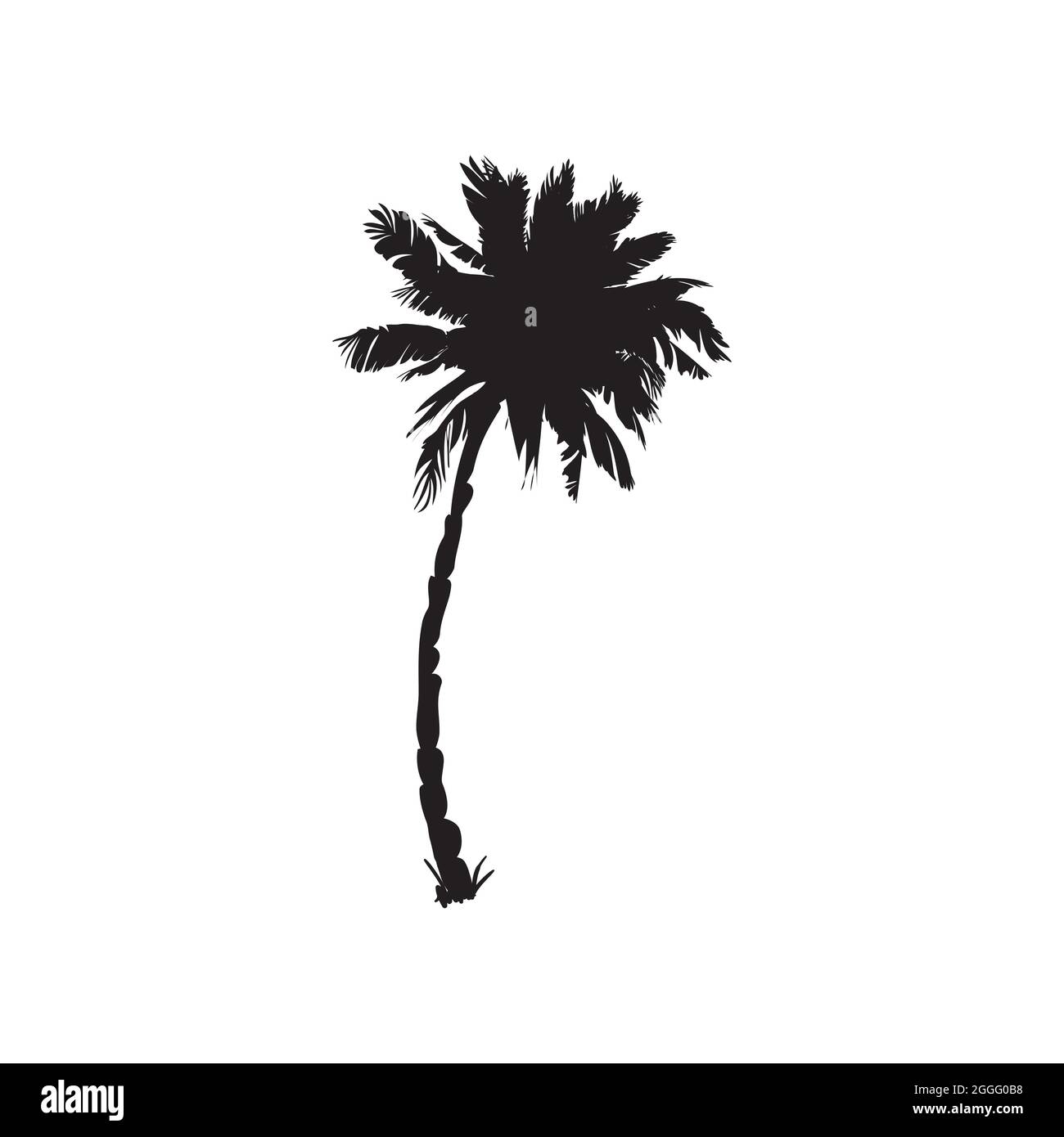 silhouette di palme da cocco, illustrazione di palme, segno vettoriale estivo su sfondo bianco Illustrazione Vettoriale
