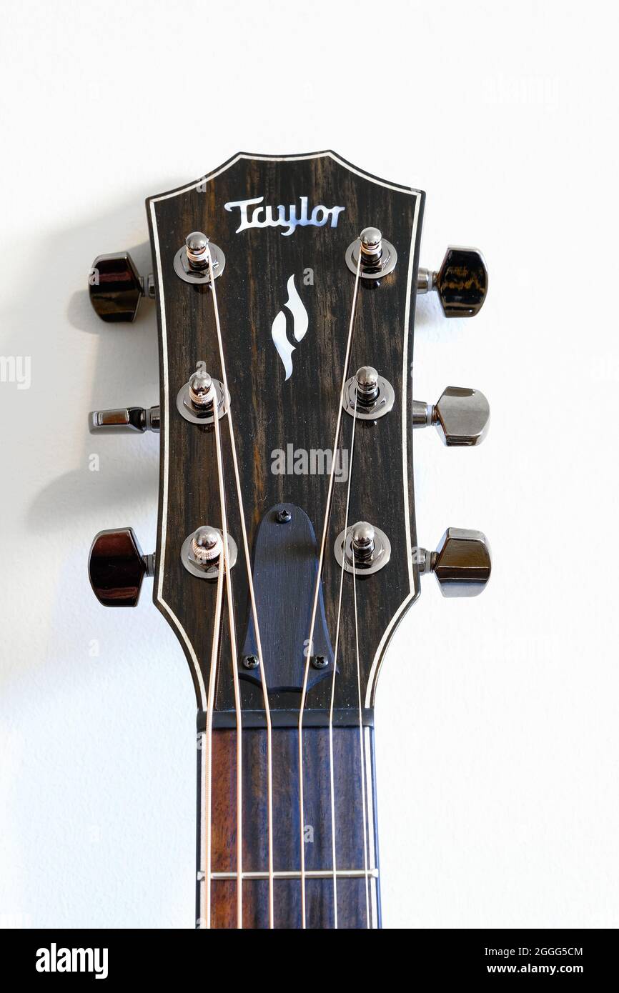 Testa di chitarra Taylor Foto Stock