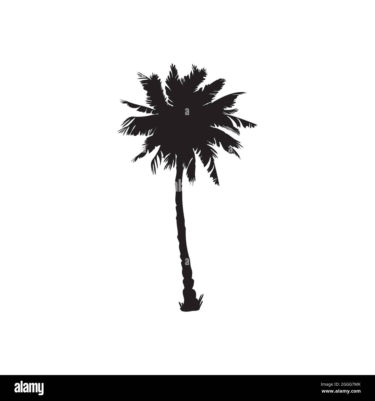 silhouette di palme da cocco, illustrazione di palme, segno vettoriale estivo su sfondo bianco Illustrazione Vettoriale