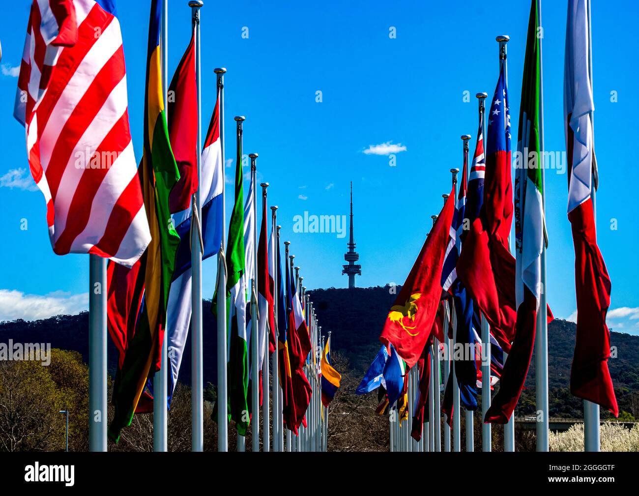 Bandiere internazionali costeggiano il lago Burley Griffin, una per ogni nazione con una missione diplomatica a Canberra, capitale nazionale australiana Foto Stock