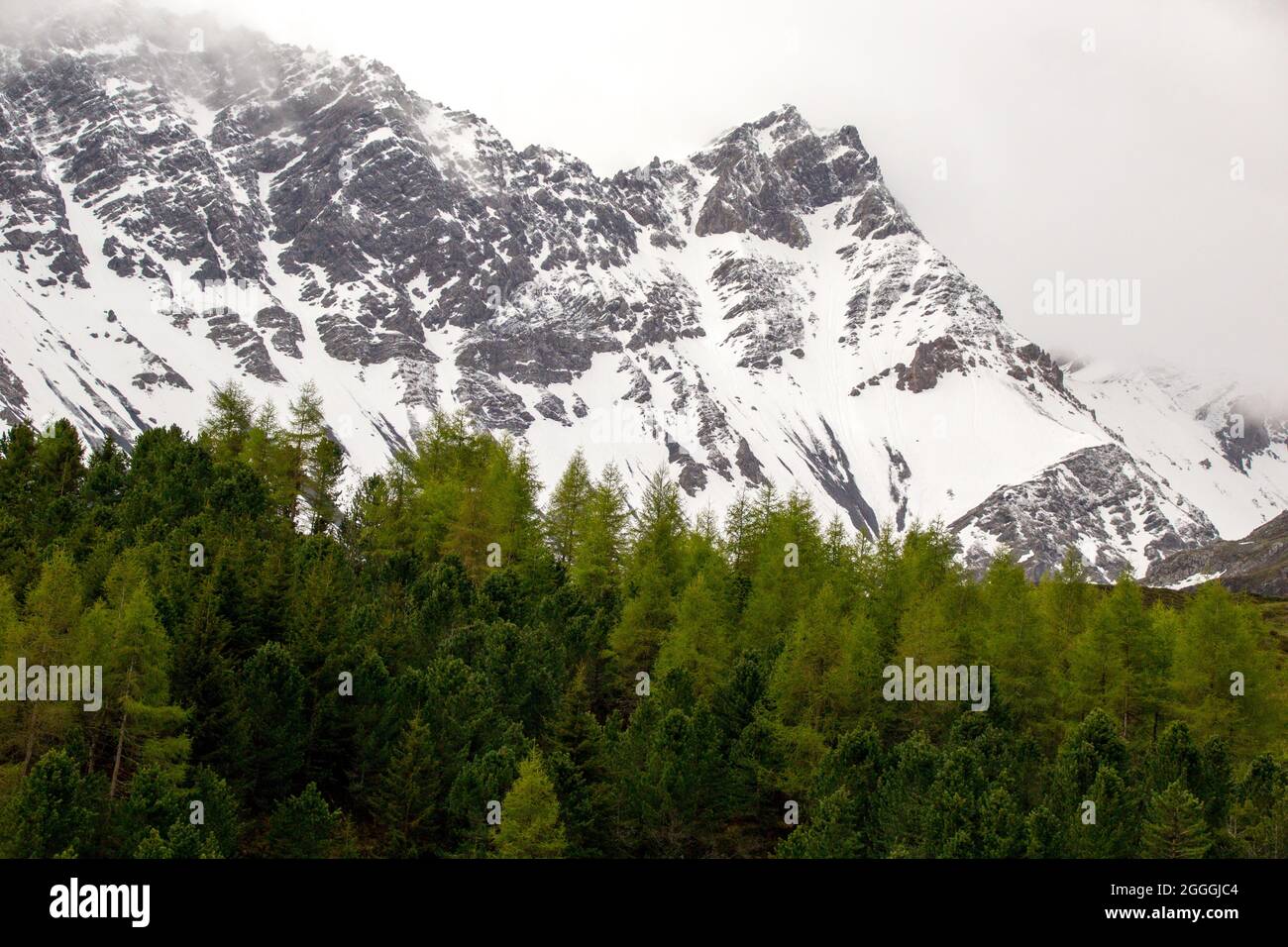 Alpi svizzere Arosa Foto Stock