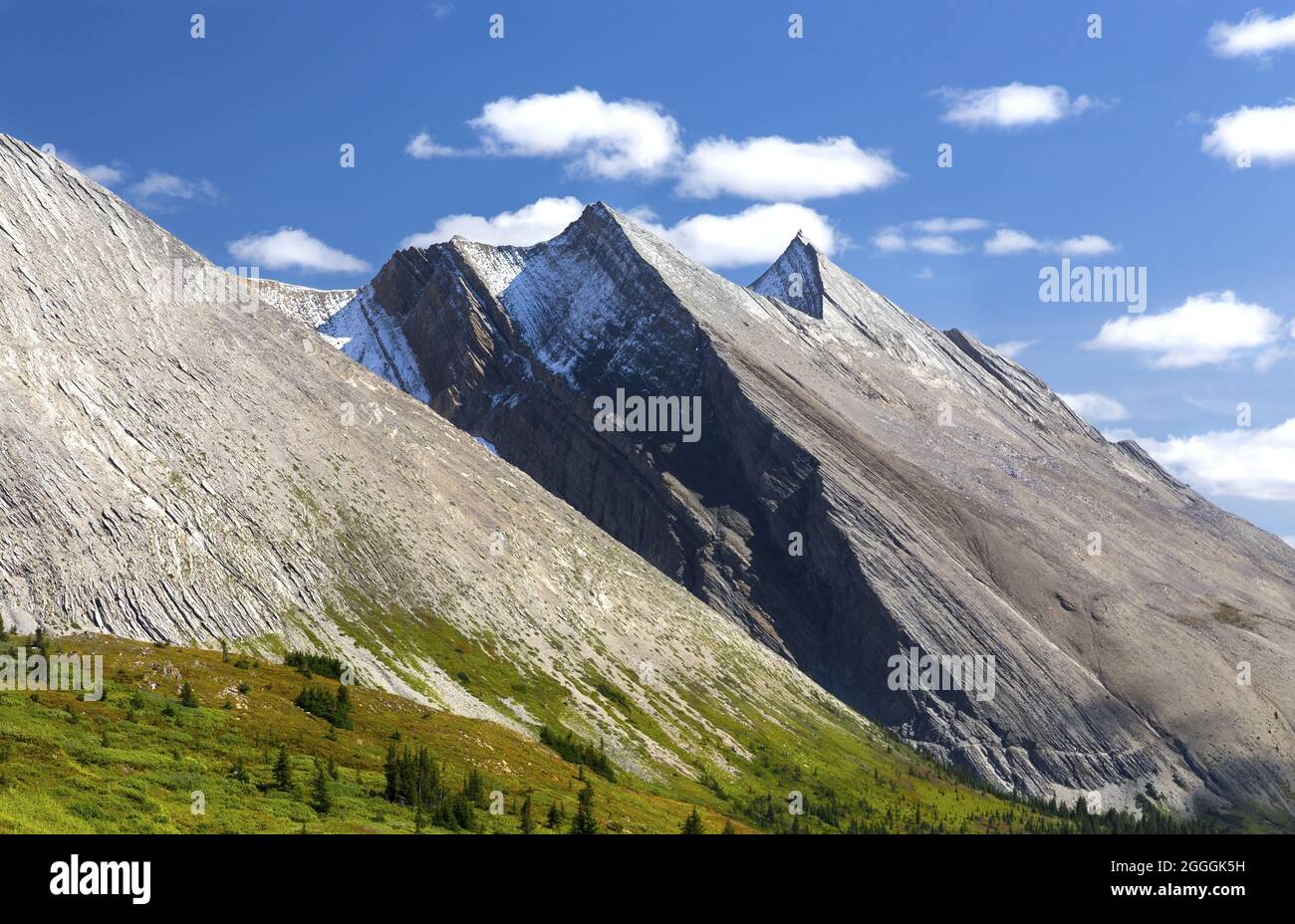 Aspro Sawback Range Rocky Mountain Peaks, Banff National Park, Canada. Paesaggio panoramico delle Montagne Rocciose canadesi in una giornata estiva limpida Foto Stock