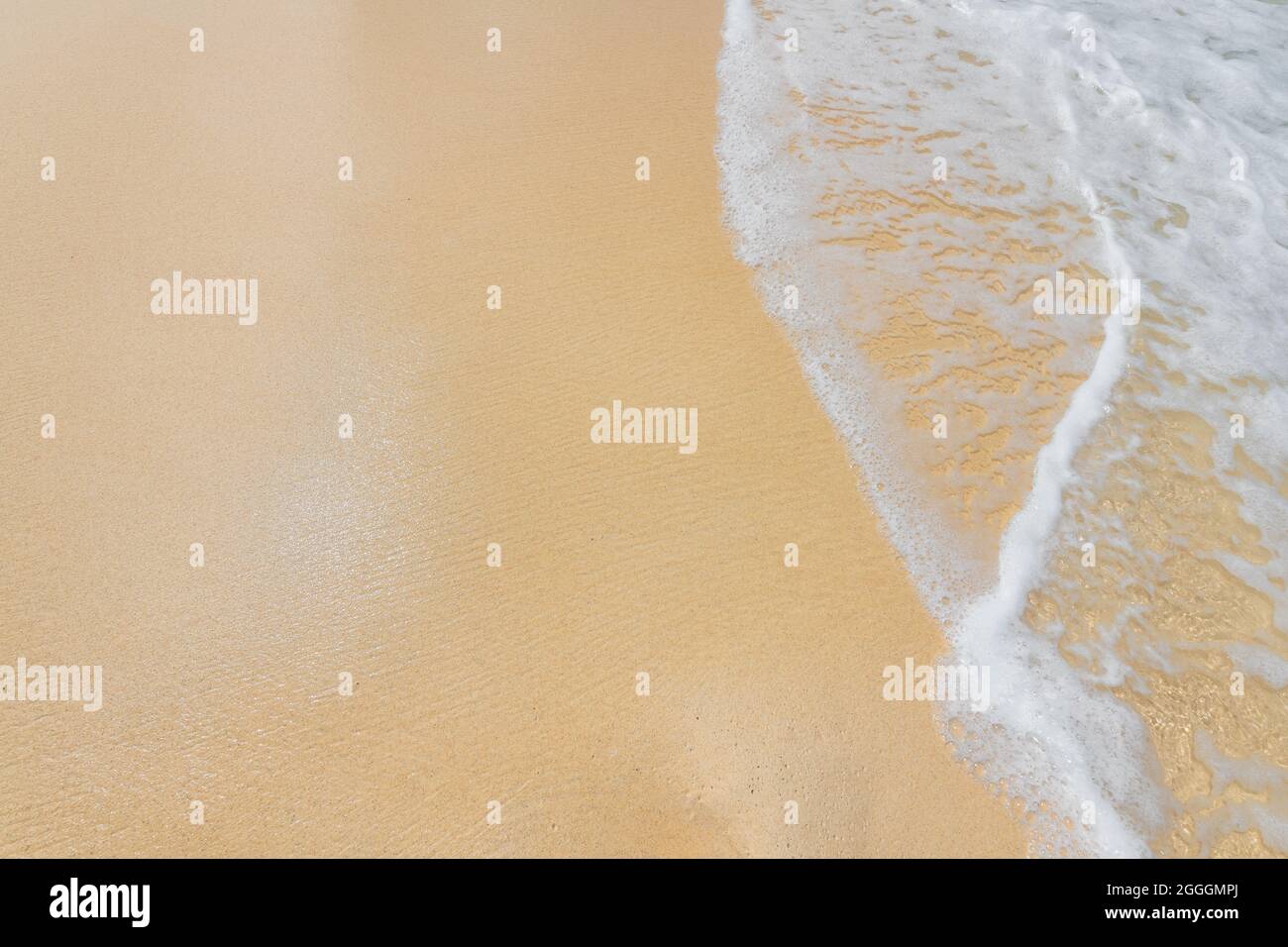Onde morbide sull'oceano su una spiaggia di sabbia pulita Foto Stock