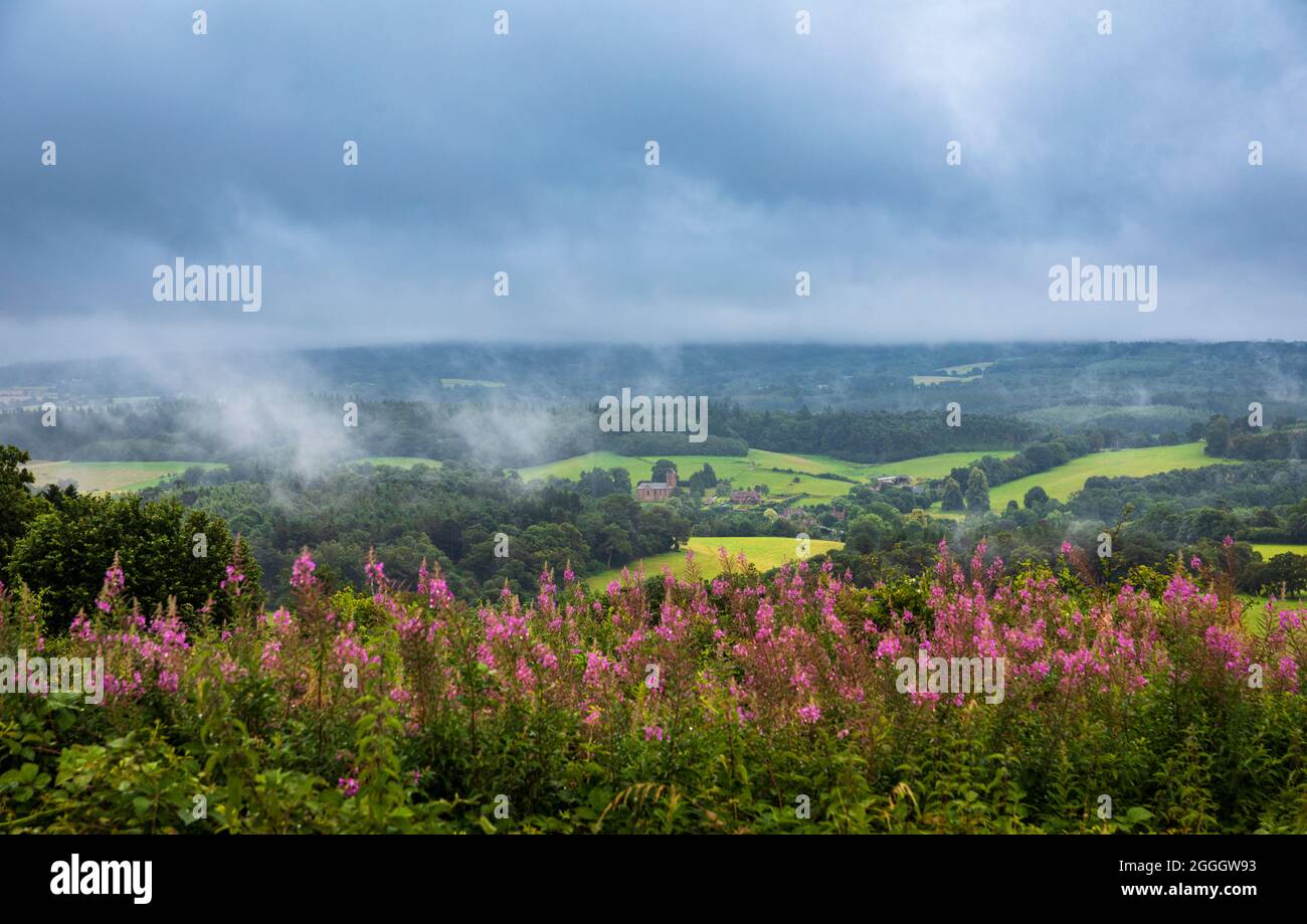 Vista dal Newlands Corner sulle Surrey Hills, North Downs in una giornata nuvolosa bagnata all'inizio di agosto Foto Stock