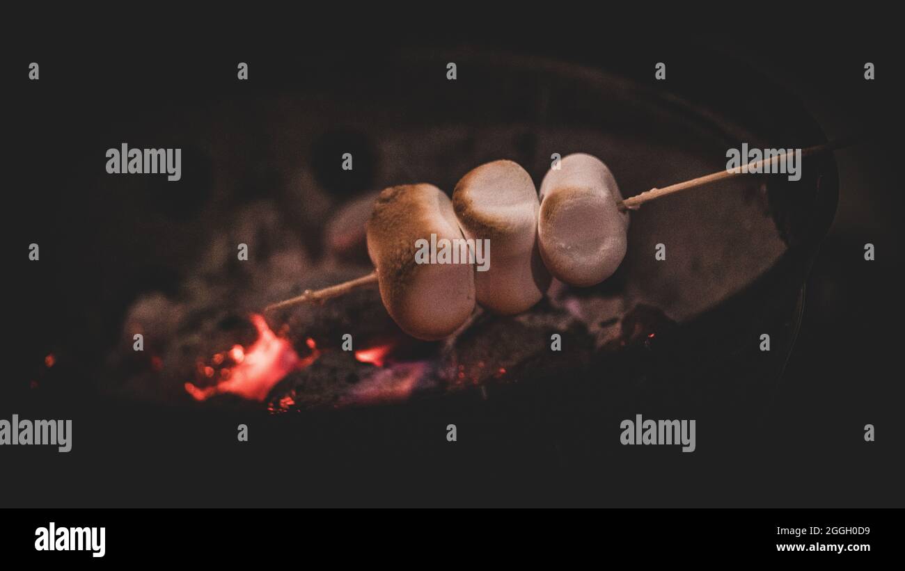 Tre marshmallows su un bastone da grigliare. I carboni incandescenti possono essere visti sotto. Foto Stock
