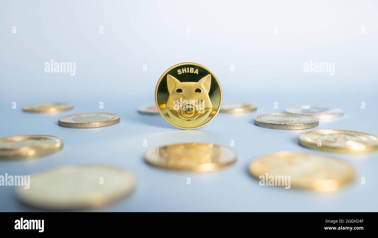 Moneta Shiba Inu o Shib in piedi in posizione centrale tra mazzo di cripto monete su sfondo blu. Primo piano, messa a fuoco morbida. Banner con token Shiba dorato. Foto Stock