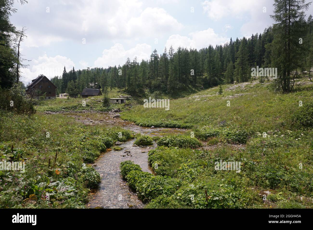Piccolo torrente di fronte al Rifugio sulla Valle dei sette Laghi, Slovenia 2020 Foto Stock