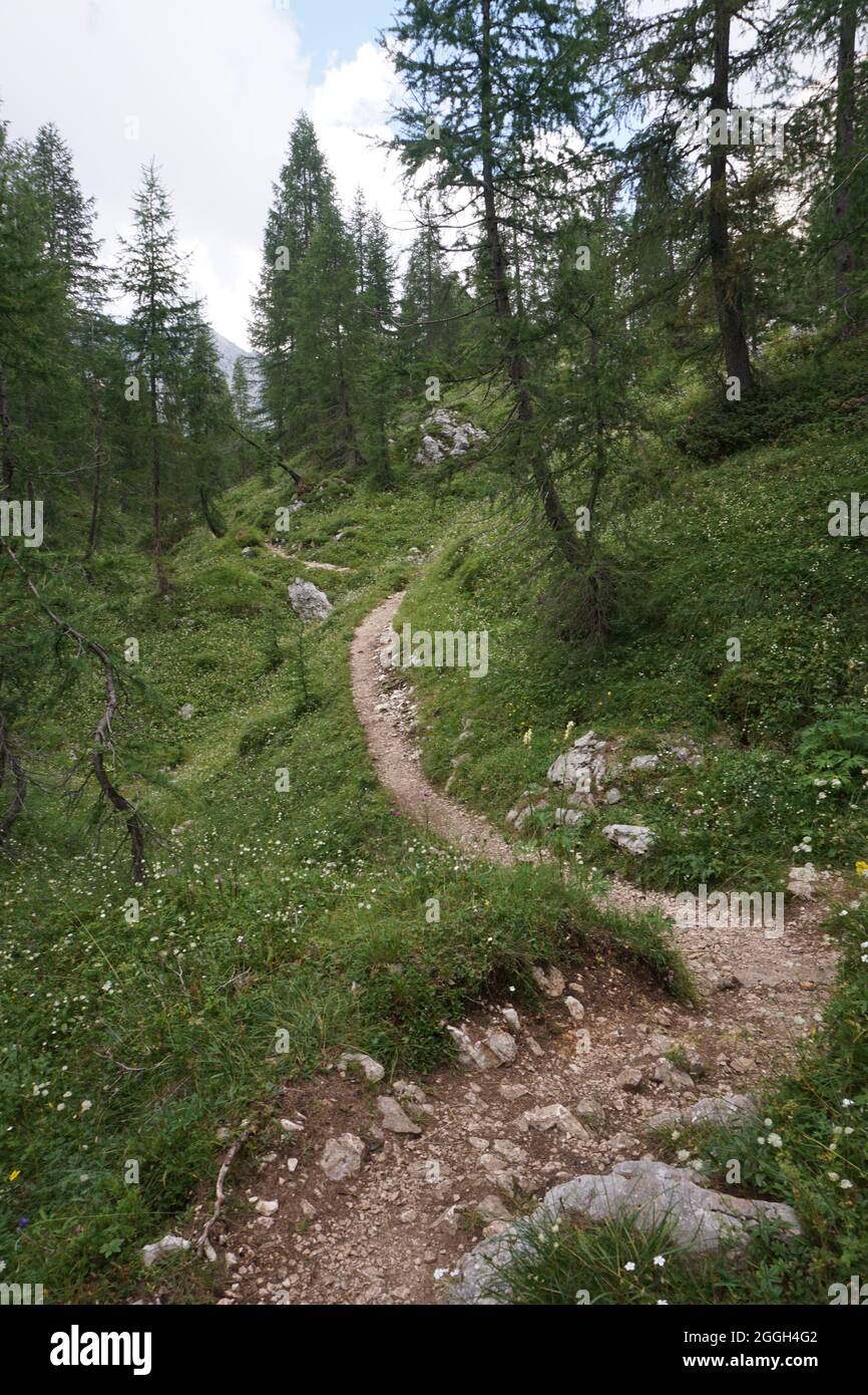 Piccolo sentiero tortuoso sulla Valle dei sette Laghi, Slovenia 2020 Foto Stock