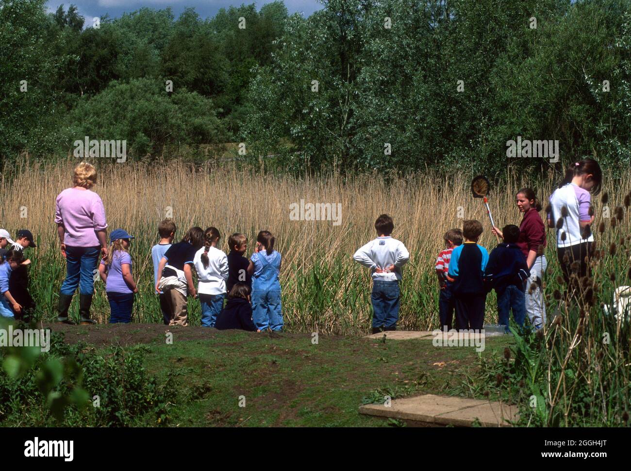 Bambini che imparano a conoscere la vita di stagno, Brandon Marsh Nature Reserve, Warwickshire, Inghilterra, Regno Unito Foto Stock