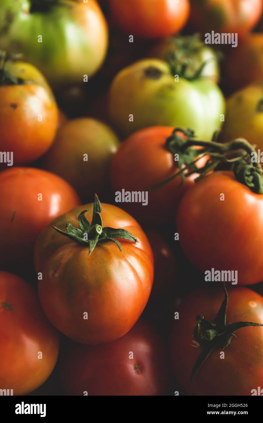 Raccolta di pomodori maturi verdi e rossi Foto Stock