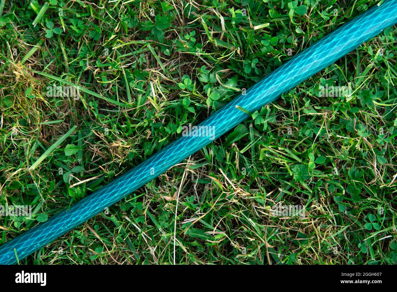 Tubo da giardino che giace sull'erba verde da vicino Foto Stock