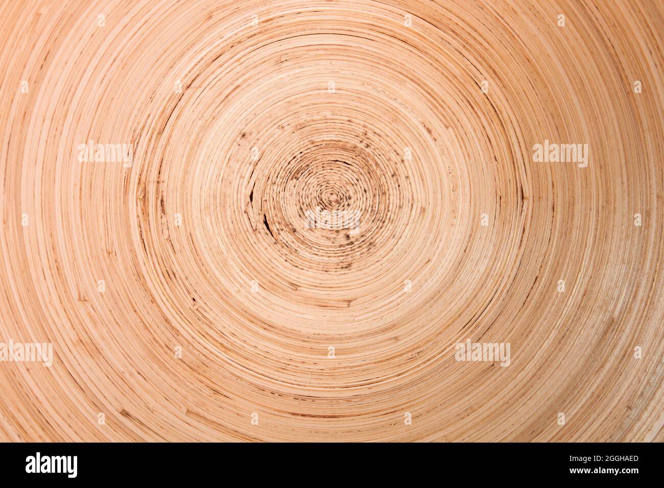 Dettaglio del vassoio in fibra vegetale ecologica naturale con disegno a spirale da vicino, vista dall'alto Foto Stock