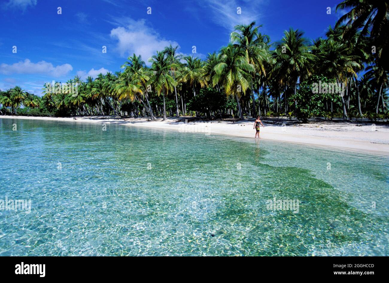 POLINESIA FRANCESE. ARCIPELAGO TUAMOTU. ATOLLO DI RANGIROA Foto Stock