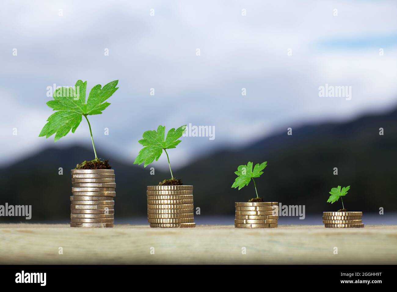 Piante che crescono da monete. Economia in crescita e verde. Foto Stock