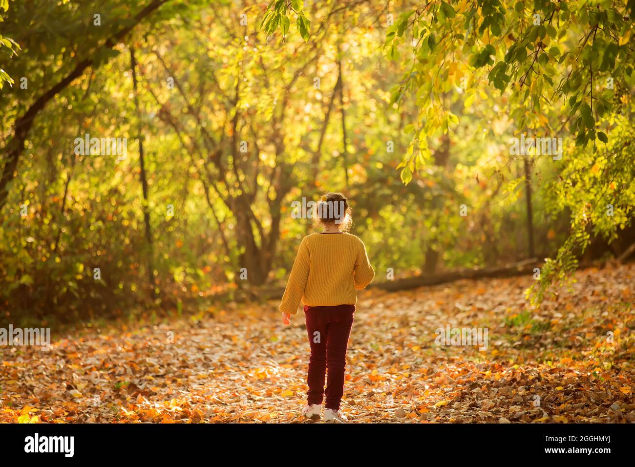 Una ragazza cammina in una bella foresta autunnale. Un bambino gode della natura in un parco. Foto Stock