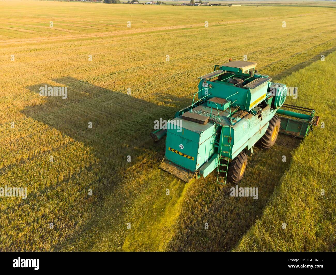 Mietitrebbia che lavora su un campo agricolo di grandi dimensioni Foto Stock