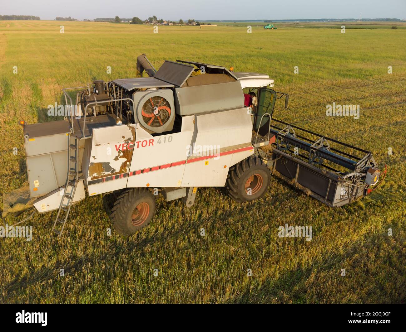 Mietitrebbia che lavora su un campo agricolo di grandi dimensioni Foto Stock