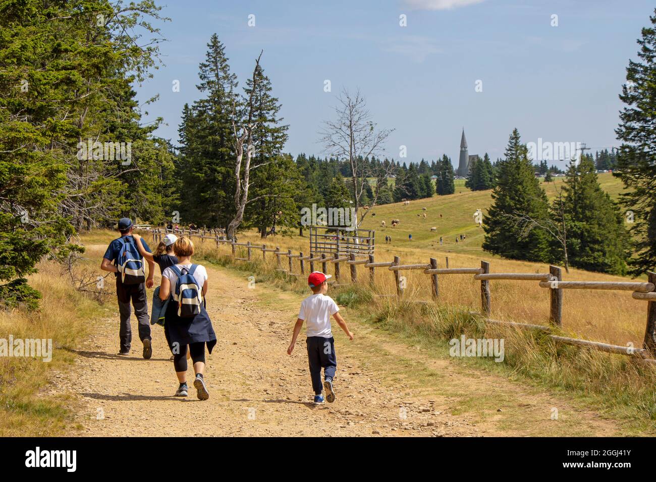 Famiglia con bambini piccoli escursioni all'aperto in estate natura, a piedi a Rogla, Slovenia Foto Stock