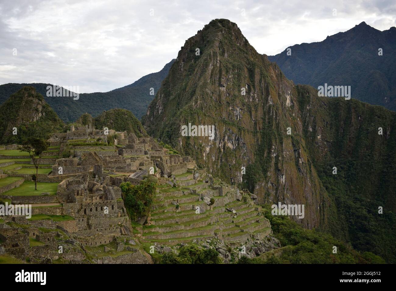 Machu Picchu al mattino presto di maggio Foto Stock