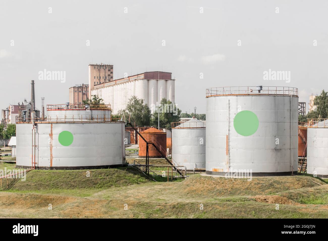 Area industriale di un impianto o di un'impresa con serbatoi di stoccaggio per prodotti agricoli o chimici. Foto Stock