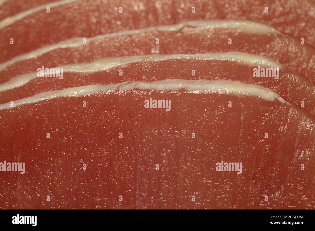 Lombata magra di maiale marinata cruda tagliata a fette sottili con quasi tutto il grasso rifinito Foto Stock