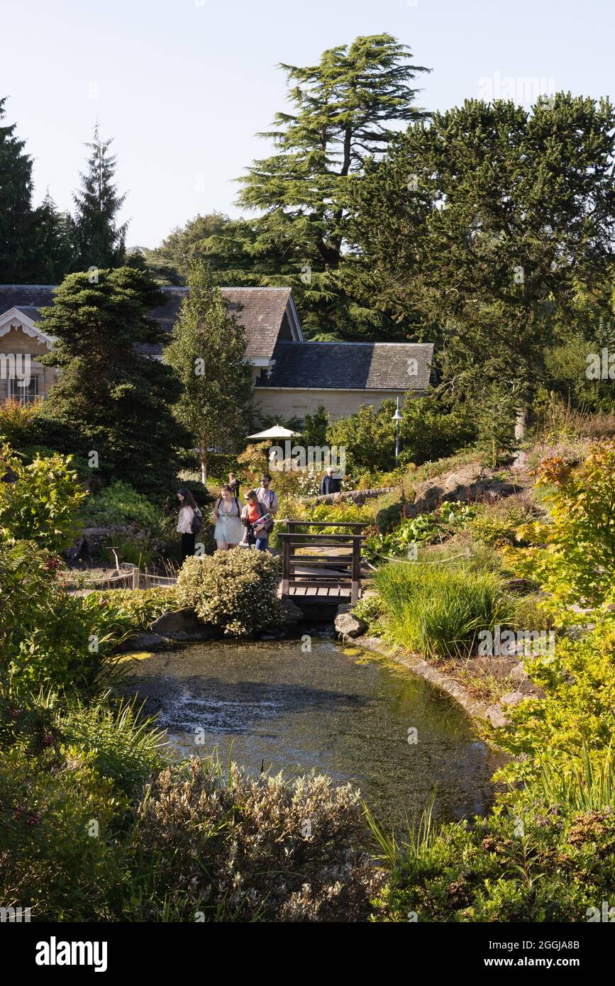 Persone nel giardino di roccia, scena in estate nel Royal Botanic Garden Edimburgo, Edimburgo Scozia Regno Unito Foto Stock
