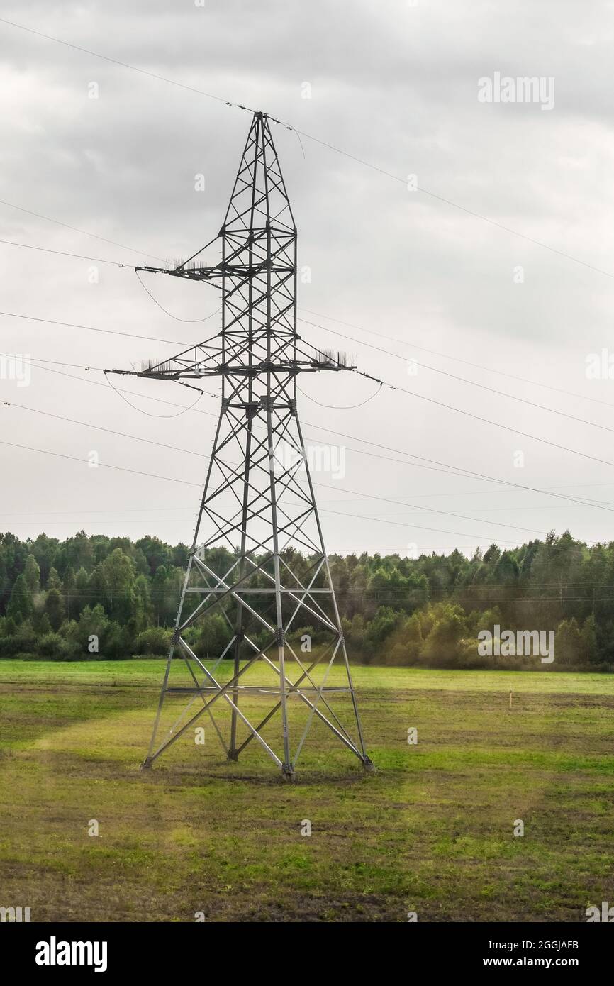 Linee elettriche ad alta quota alta tensione all'aria aperta nel campo contro lo sfondo della foresta. Foto Stock