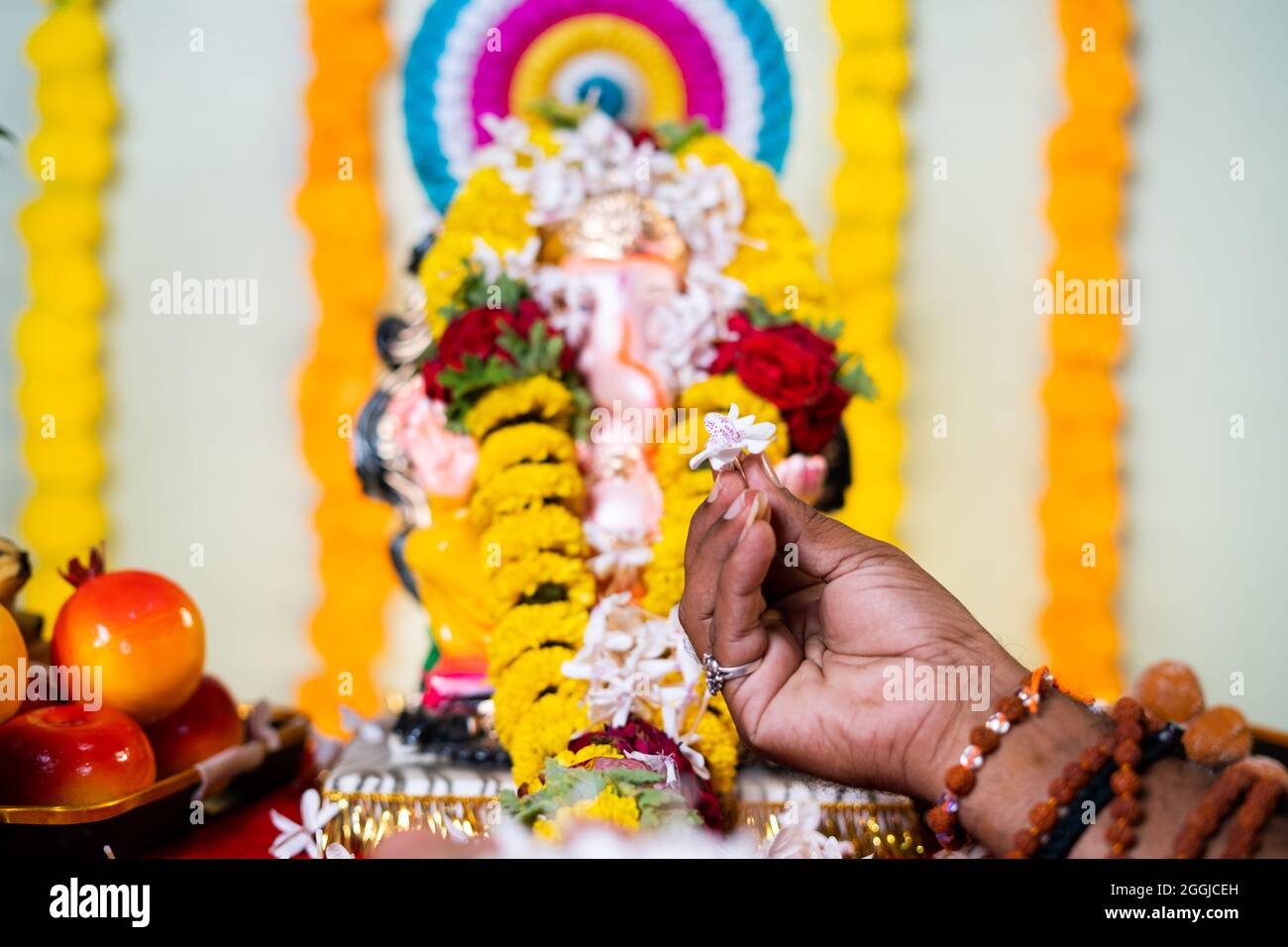 Primo piano fuoco selettivo sul guru santo o le mani del prete che offrono i fiori al signore Vignesh o ganesh durante i rituali quotidiani dei santi - concetto di credenza Foto Stock