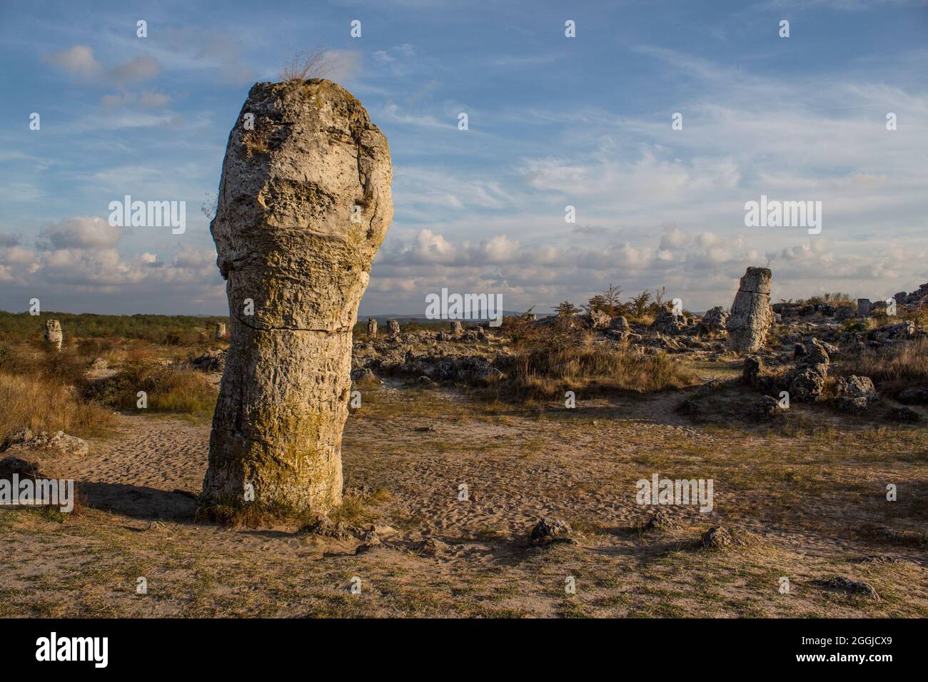 L'antica Foresta di pietra vicino Varna, Bulgaria. Foto Stock