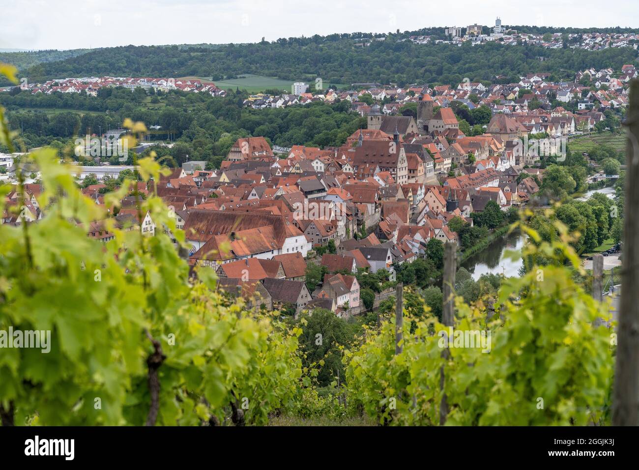 Europa, Germania, Baden-Wuerttemberg, Besigheim, vista dal ripido vigneto alla storica città vecchia di Besigheim Foto Stock