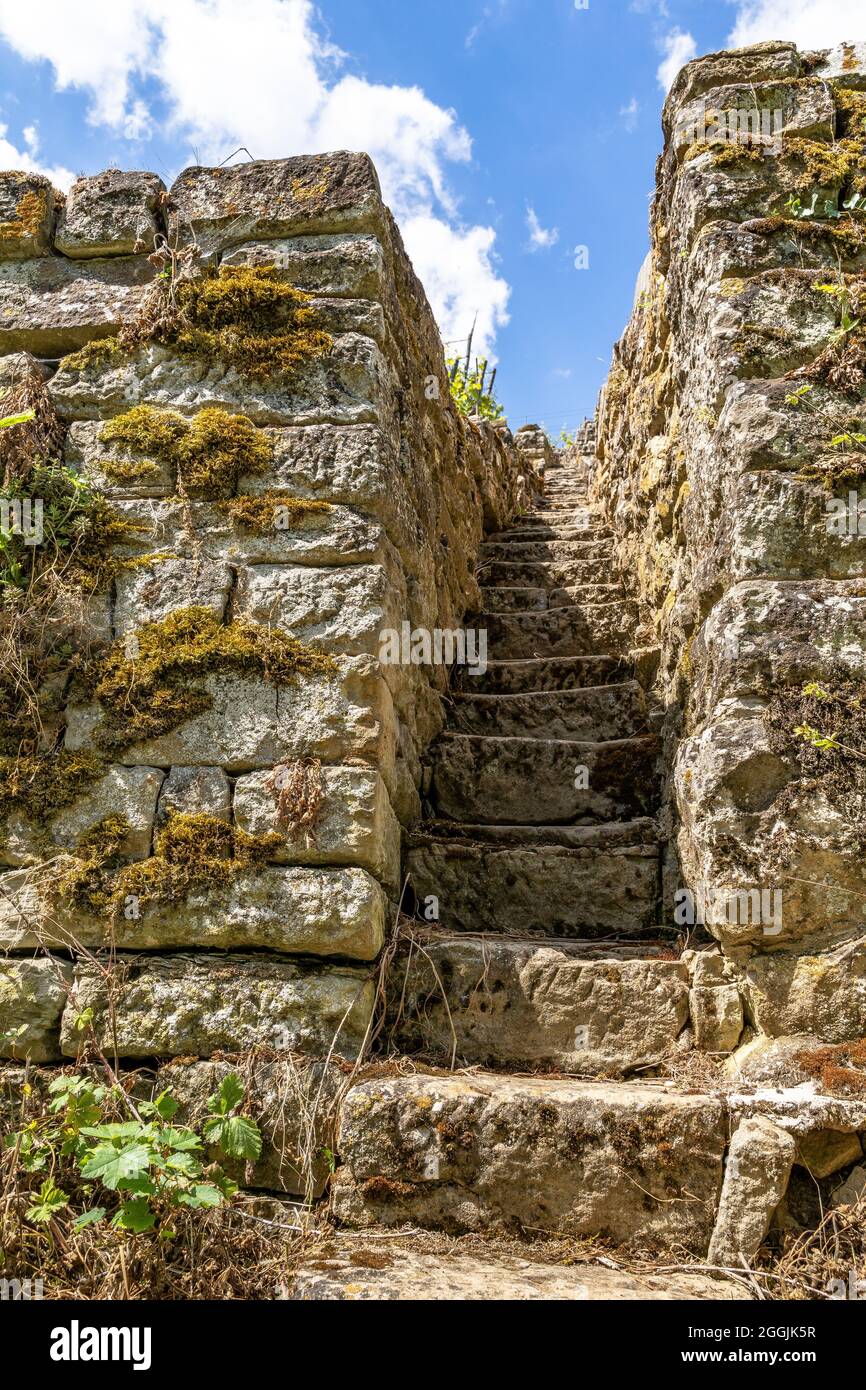 Europa, Germania, Baden-Wuerttemberg, Erligheim, scale in pietra nel ripido vigneto Foto Stock