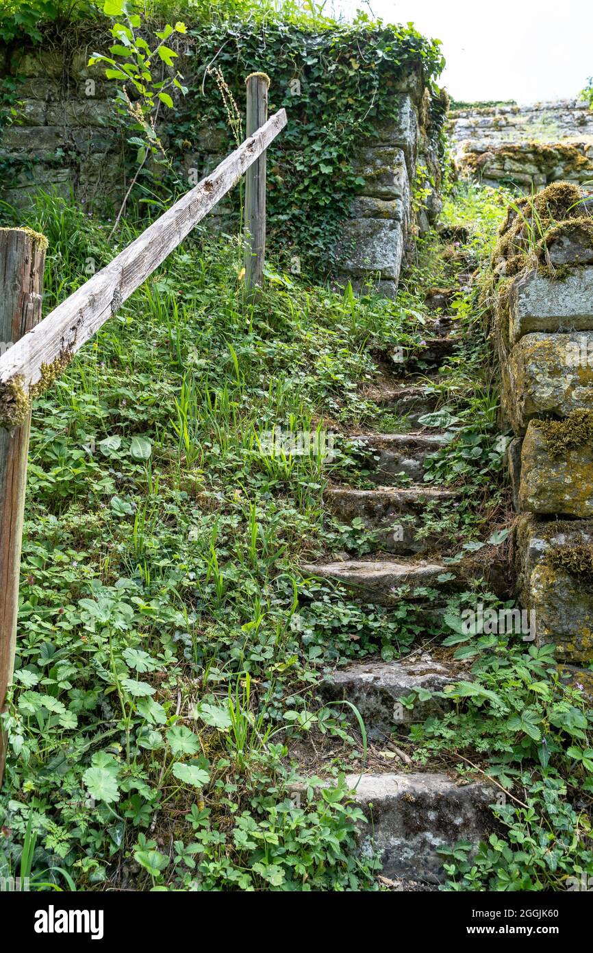 Europa, Germania, Baden-Wuerttemberg, Erligheim, scale in pietra nel ripido vigneto Foto Stock