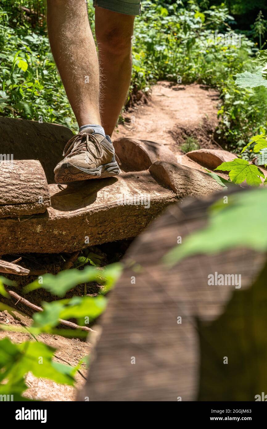 Europa, Germania, Baden-Wuerttemberg, Parco Naturale della Foresta Svevo-Franconiana, Welzheim, primo piano di scarpe da trekking sul sentiero Foto Stock