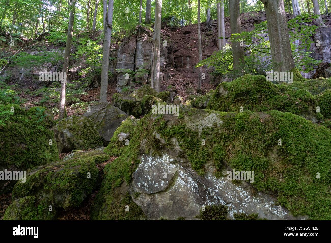 Europa, Germania, Baden-Wuerttemberg, Rems-Murr-Kreis, Murrhardt, Monumento naturale Felsenmeer nella foresta sveva Foto Stock