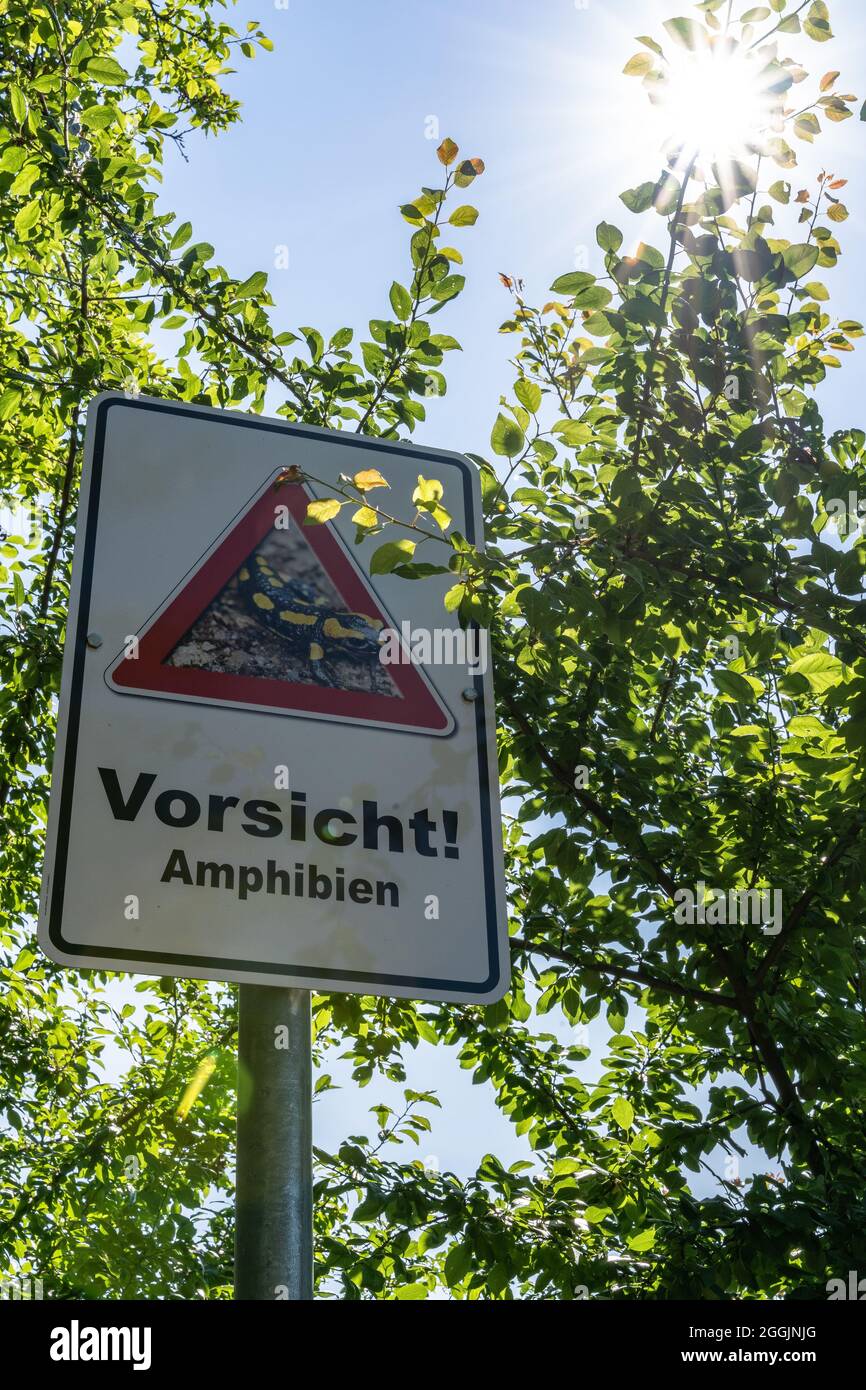 Europa, Germania, Baden-Wuerttemberg, distretto di Ludwigsburg, Bietigheim-Bissingen, segnale di avvertimento per la protezione degli anfibi rari Foto Stock