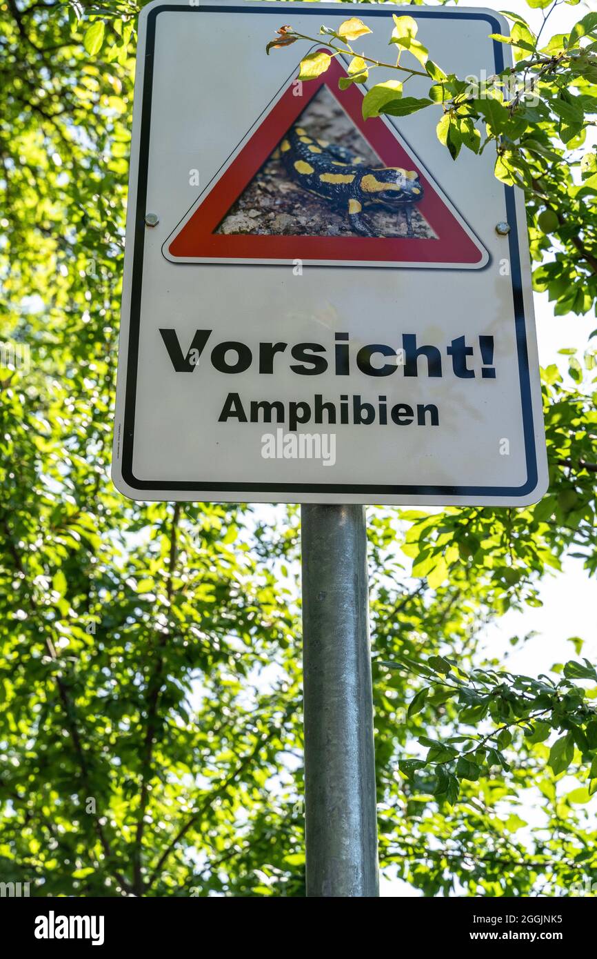 Europa, Germania, Baden-Wuerttemberg, distretto di Ludwigsburg, Bietigheim-Bissingen, segnale di avvertimento per la protezione degli anfibi rari Foto Stock